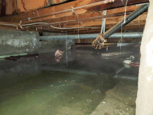 Best Commercial water damage restoration  in Lindsborg, KS
