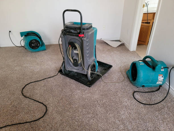 Best Flood damage cleanup  in Lindsborg, KS