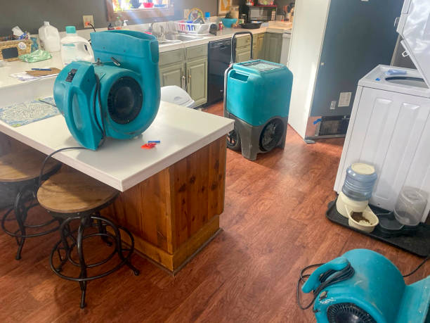 Best Water damage contractors near me  in Lindsborg, KS