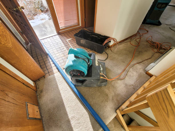 Best Ceiling water damage repair  in Lindsborg, KS