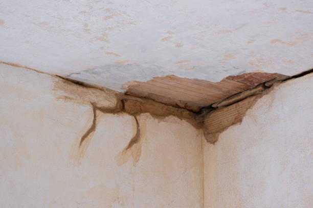 Best Carpet water damage restoration  in Lindsborg, KS