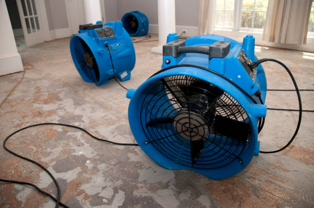 Best Residential water damage restoration  in Lindsborg, KS