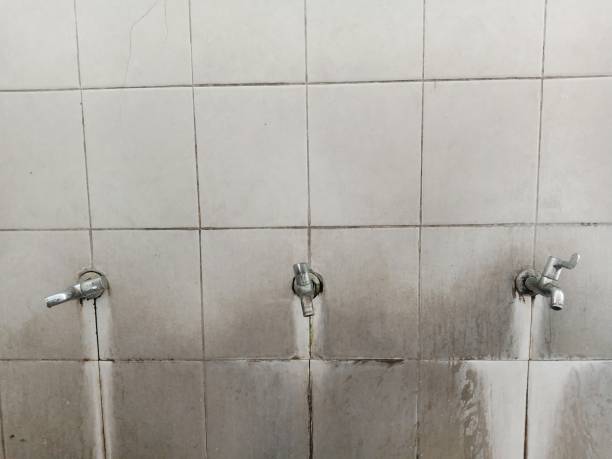 Best Local water damage restoration  in Lindsborg, KS