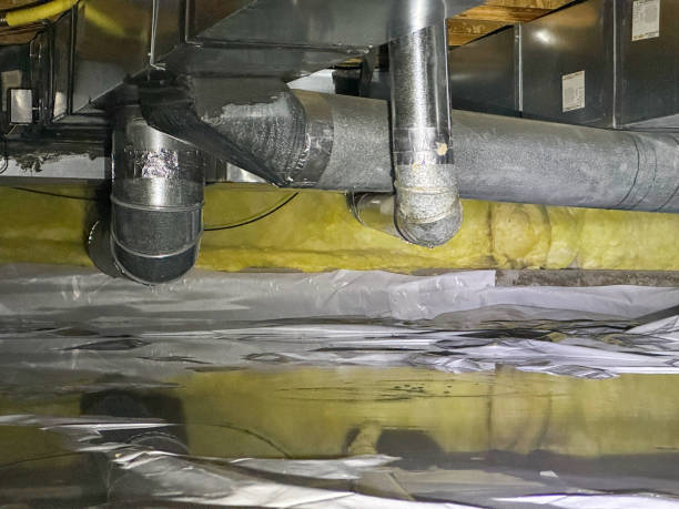 Best Basement water damage restoration  in Lindsborg, KS