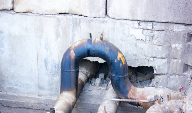 Best Mold removal after water damage  in Lindsborg, KS