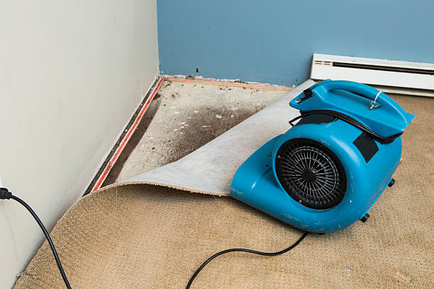 Best 24/7 water damage repair  in Lindsborg, KS